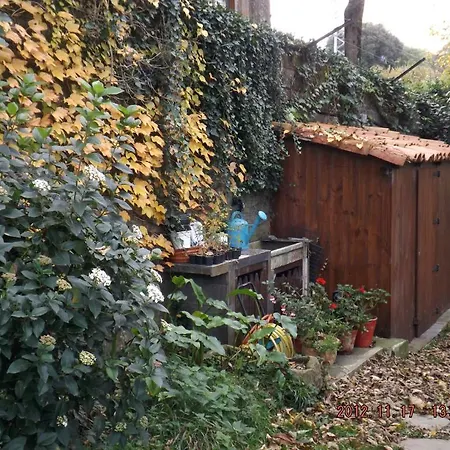 Azkue * جيتاريا